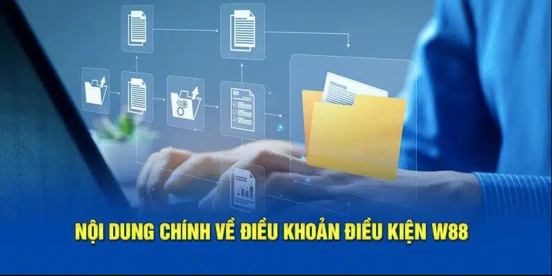 Các nội dung chính trong chính sách sử dụng